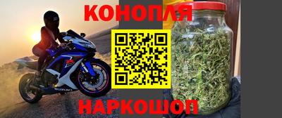 сатива Краснодар