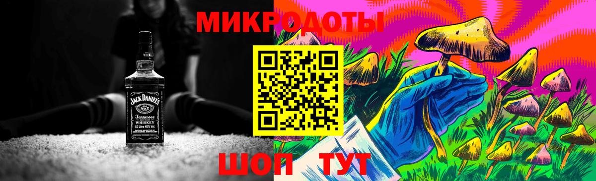Псилоцибиновые грибы MAGIC MUSHROOMS  где купить наркоту  Вход с VPN  Каменка  Галлюциногенные грибы мухоморы 