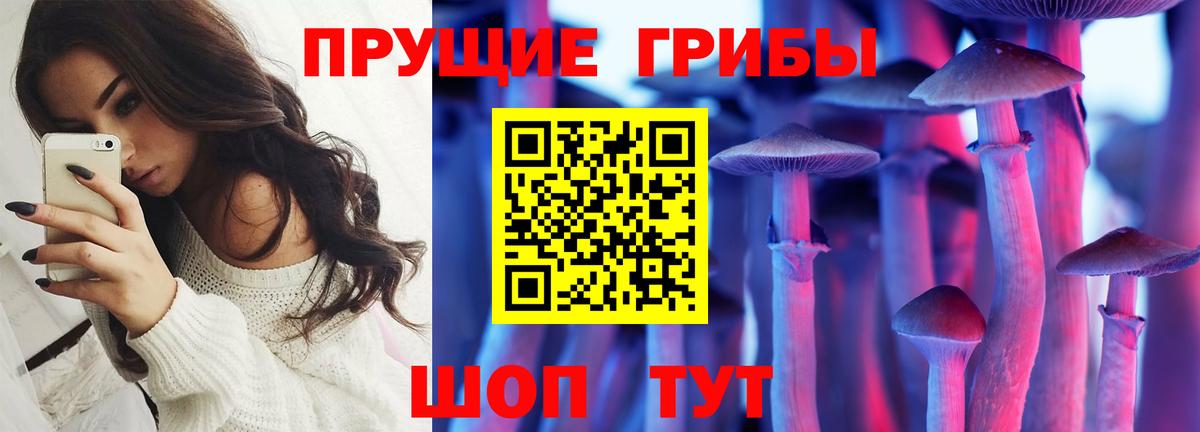 Галлюциногенные грибы Magic Shrooms Каменка